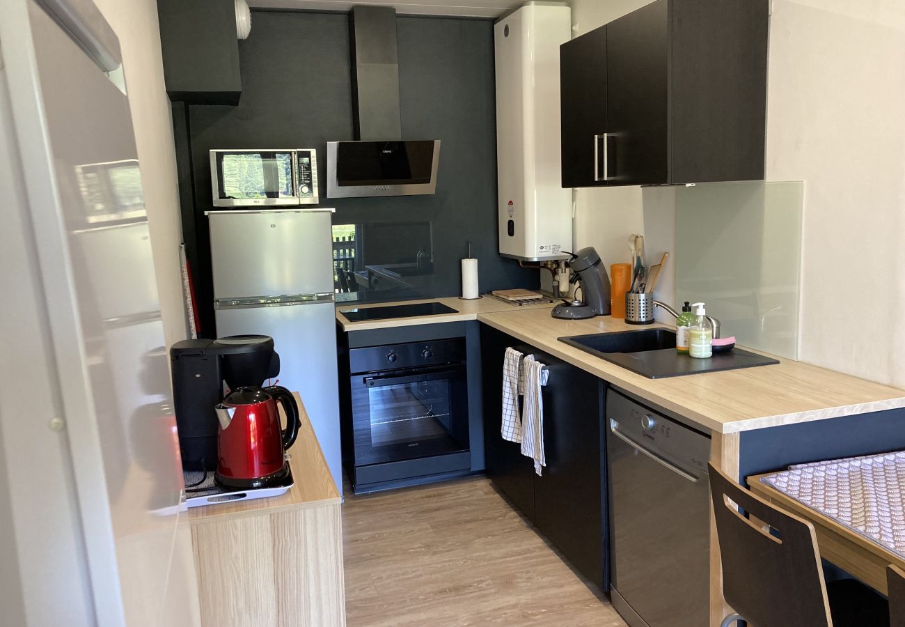 Apartamento en Le Lioran - Appartement cosy à la résidence le rocher du cerf
