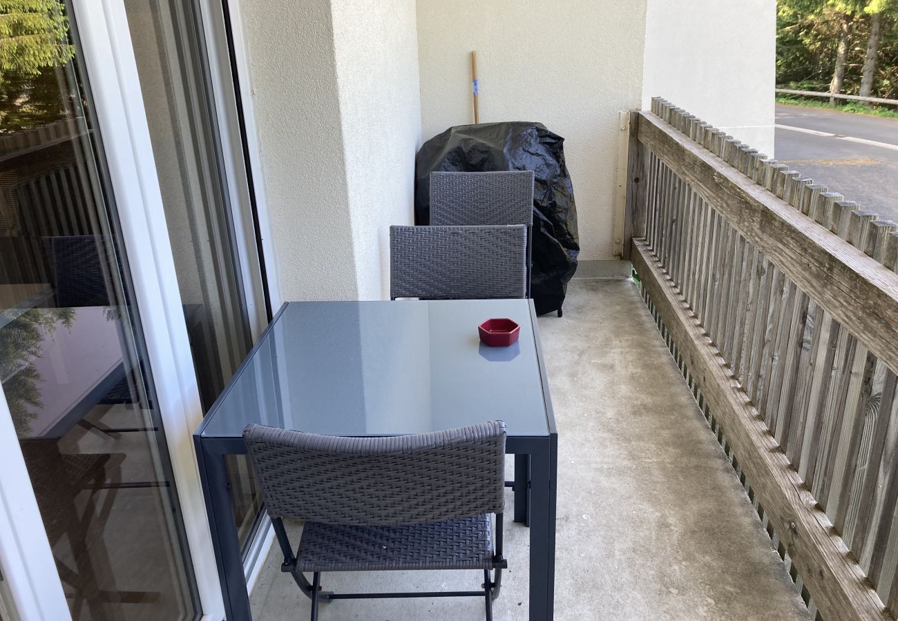 Apartamento en Le Lioran - Appartement cosy à la résidence le rocher du cerf