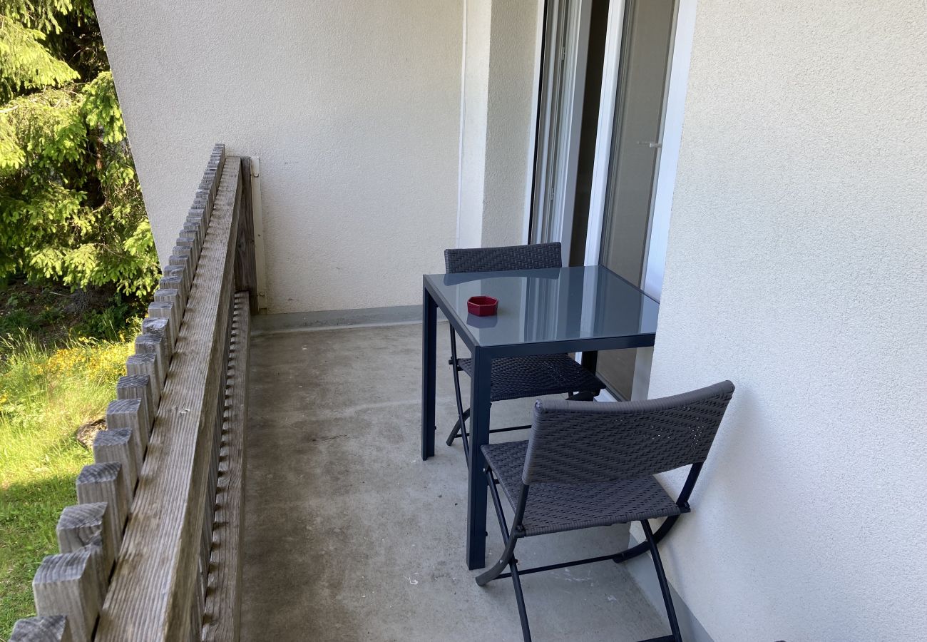 Apartamento en Le Lioran - Appartement cosy à la résidence le rocher du cerf