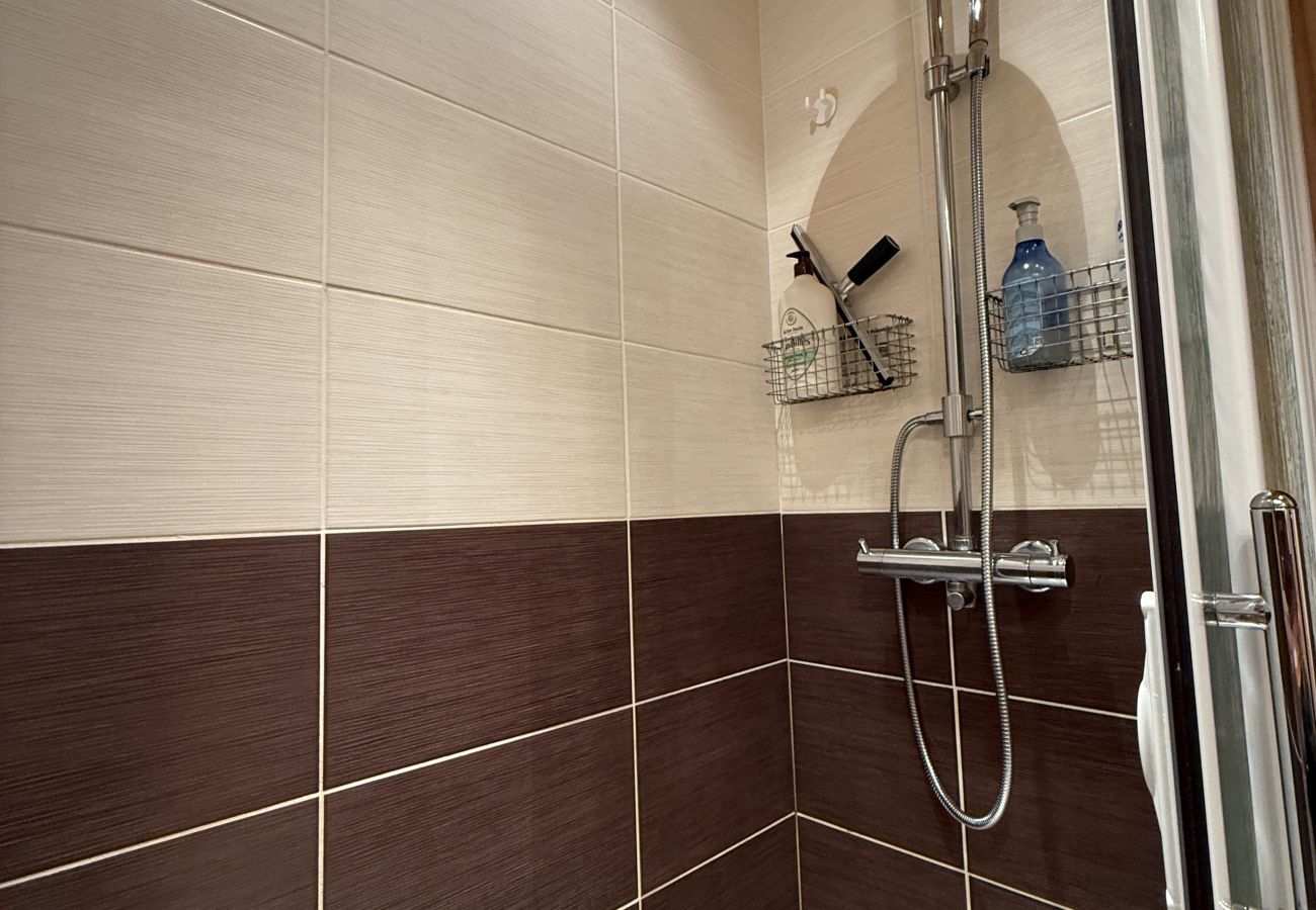 Apartamento en Laveissière - Duplex 3 chambres en coeur de station