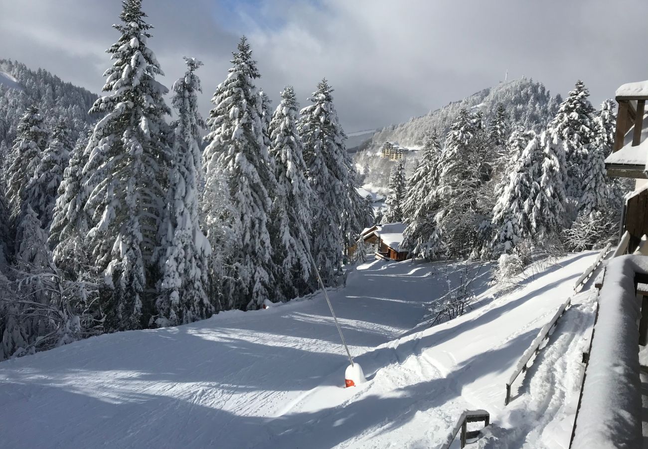 Appartement à Le Lioran - Rocher du Cerf, skis aux pieds, 3 ch,2 sdb