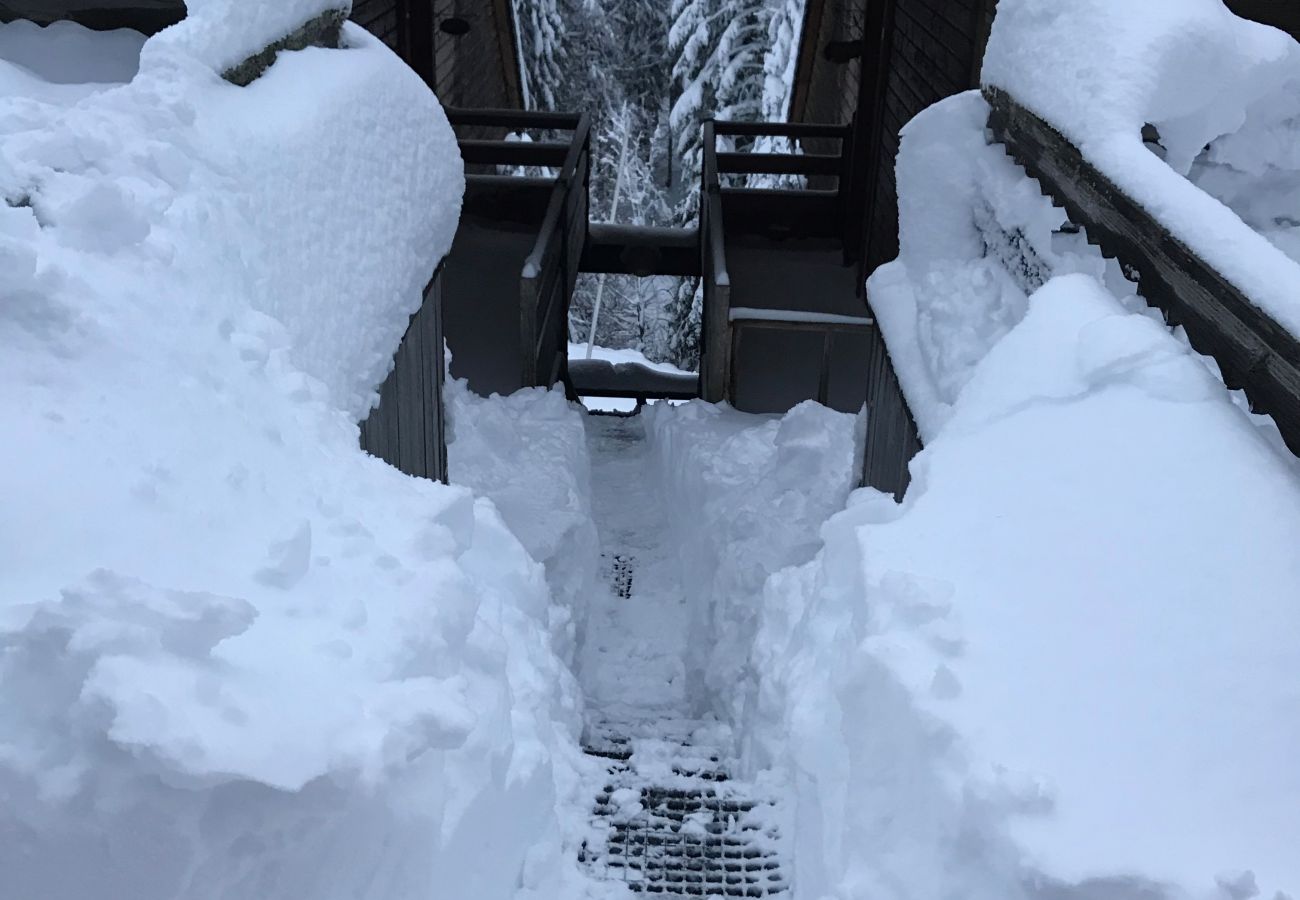 Appartement à Le Lioran - Rocher du Cerf, skis aux pieds, 3 ch,2 sdb