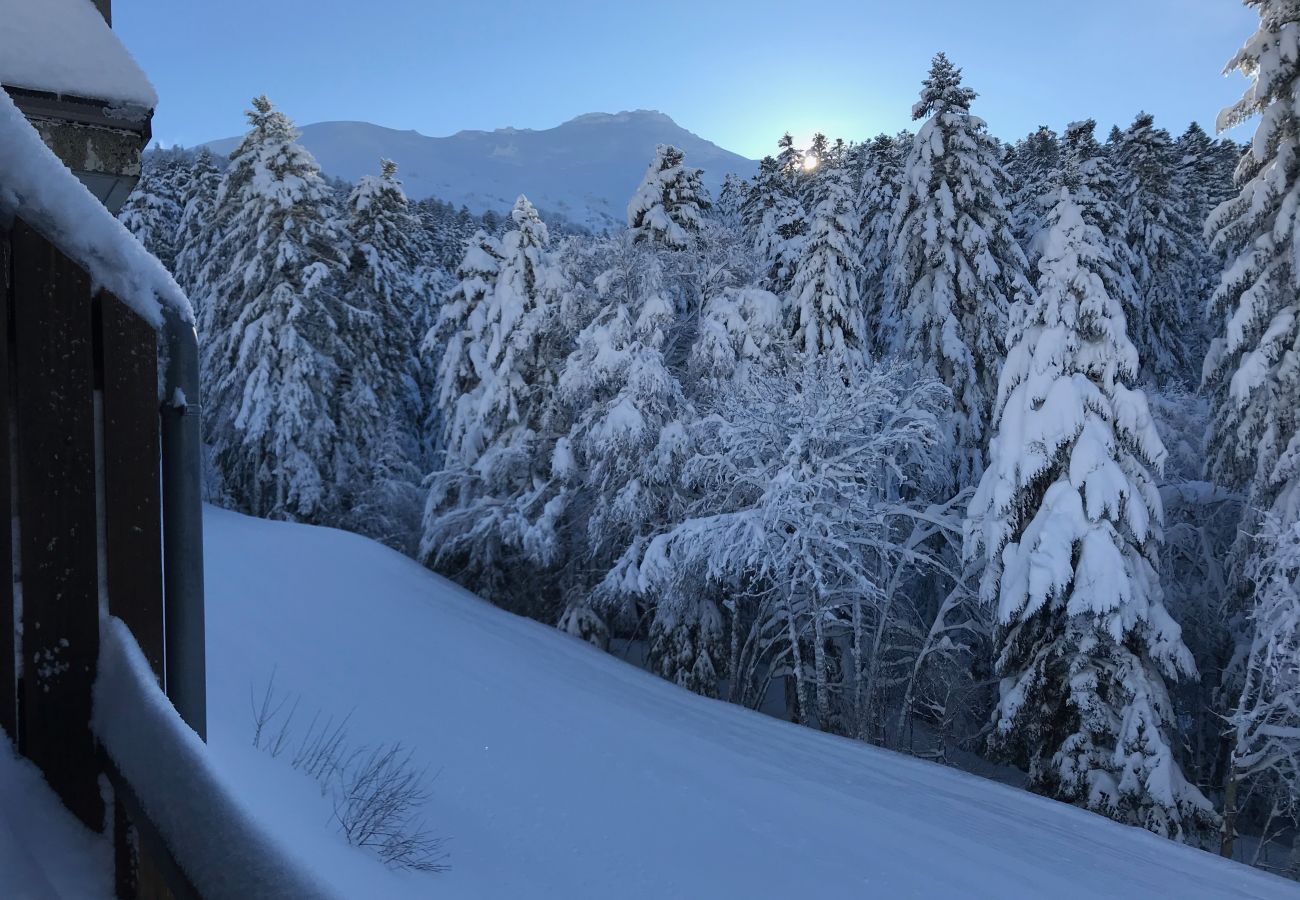 Appartement à Le Lioran - Rocher du Cerf, skis aux pieds, 3 ch,2 sdb