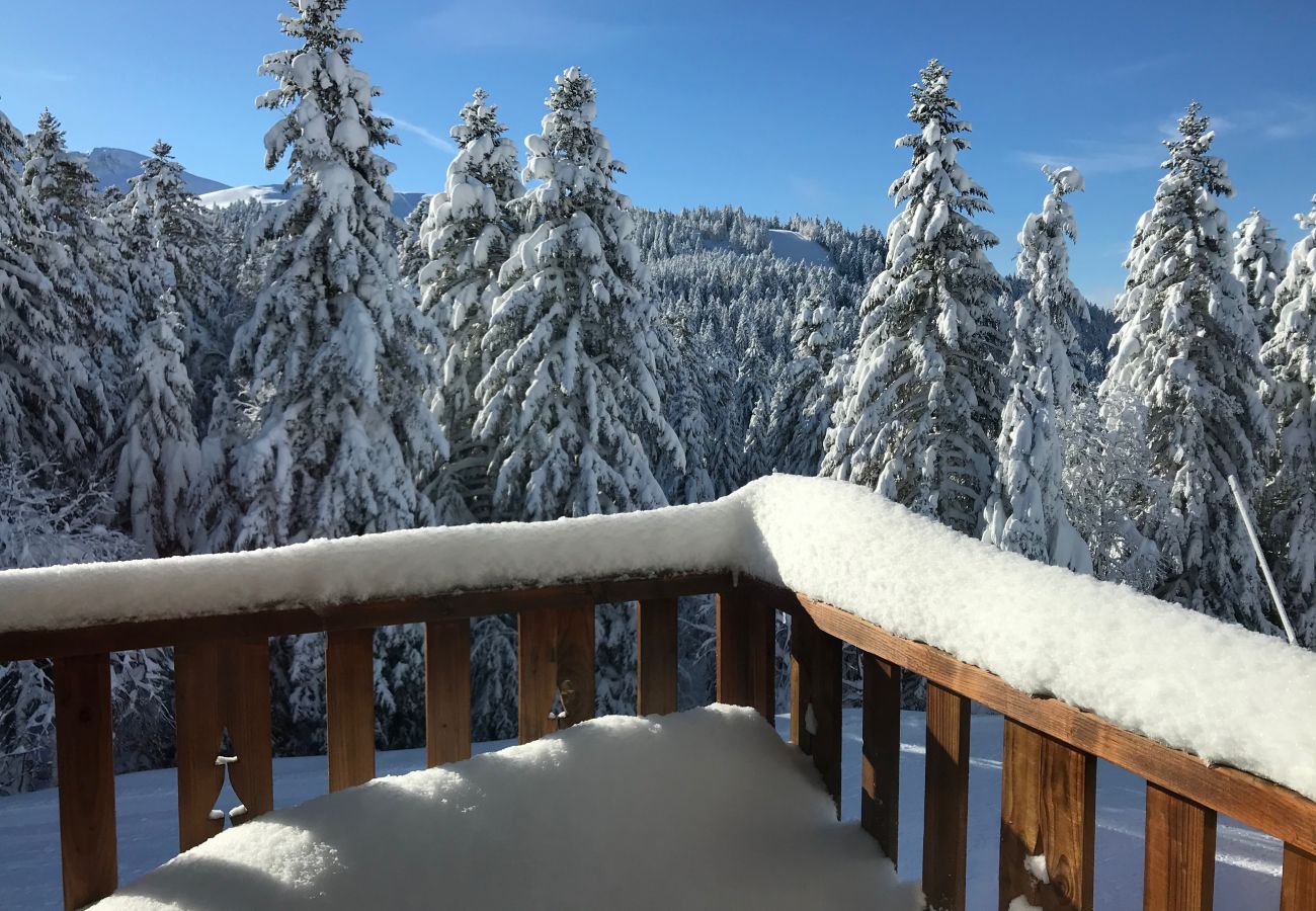 Appartement à Le Lioran - Rocher du Cerf, skis aux pieds, 3 ch,2 sdb