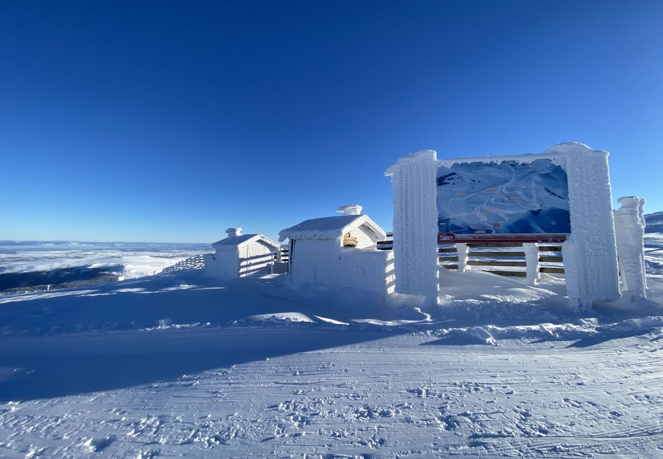 Appartement à Le Lioran - Chalet D R-2D Masseboeuf