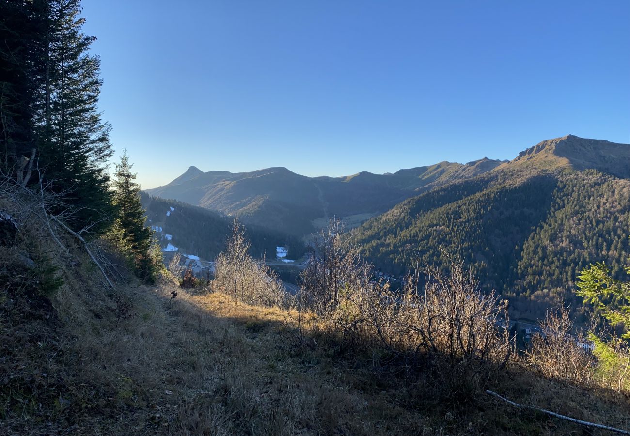 Appartement à Le Lioran - T3 FONT D'ALAGNON RDC