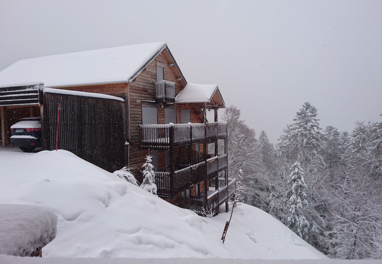 Appartement à Le Lioran - Chalet E R-2 Masseboeuf