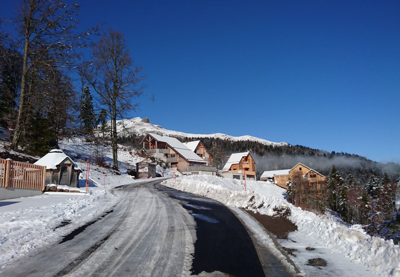 Appartement à Le Lioran - Chalet E R-2 Masseboeuf