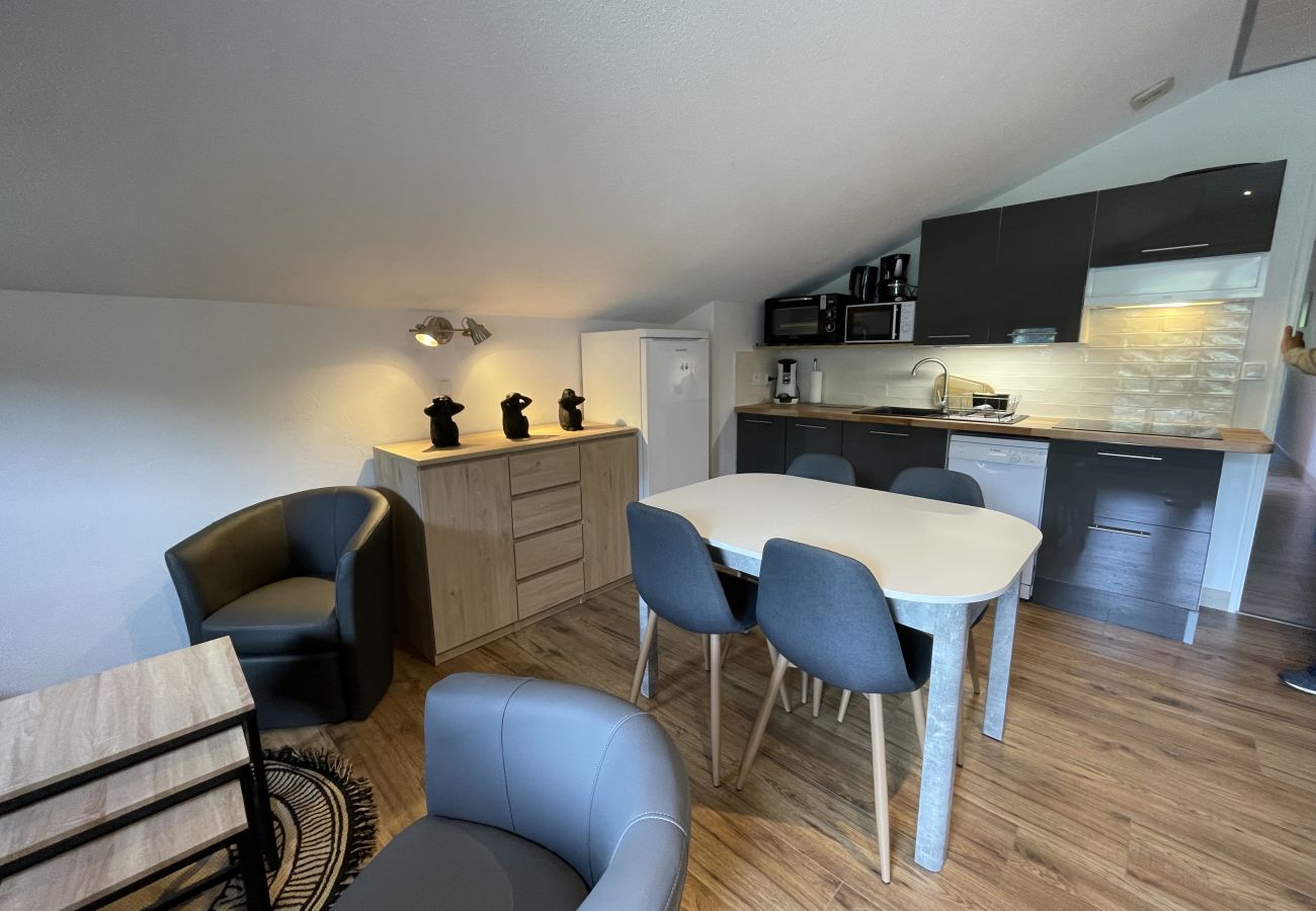 Appartement à Le Lioran - Appartement surplombant la station
