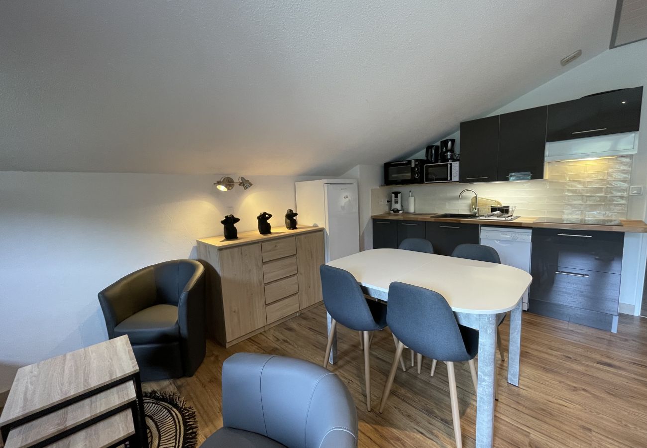 Appartement à Le Lioran - Appartement surplombant la station