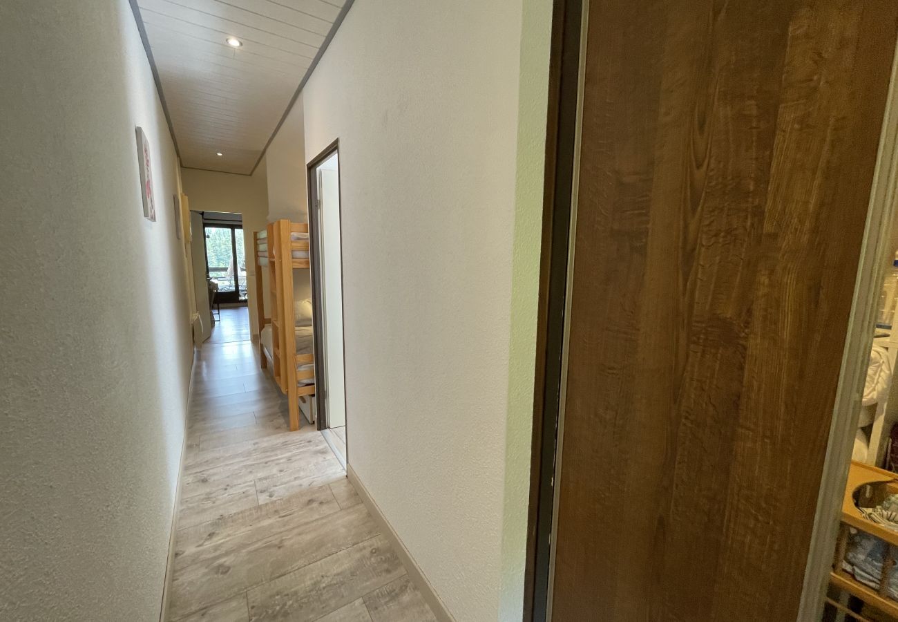 Appartement à Le Lioran - Appartement surplombant la station