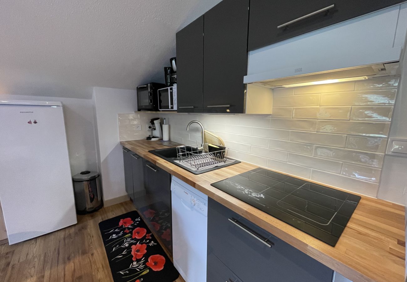 Appartement à Le Lioran - Appartement surplombant la station