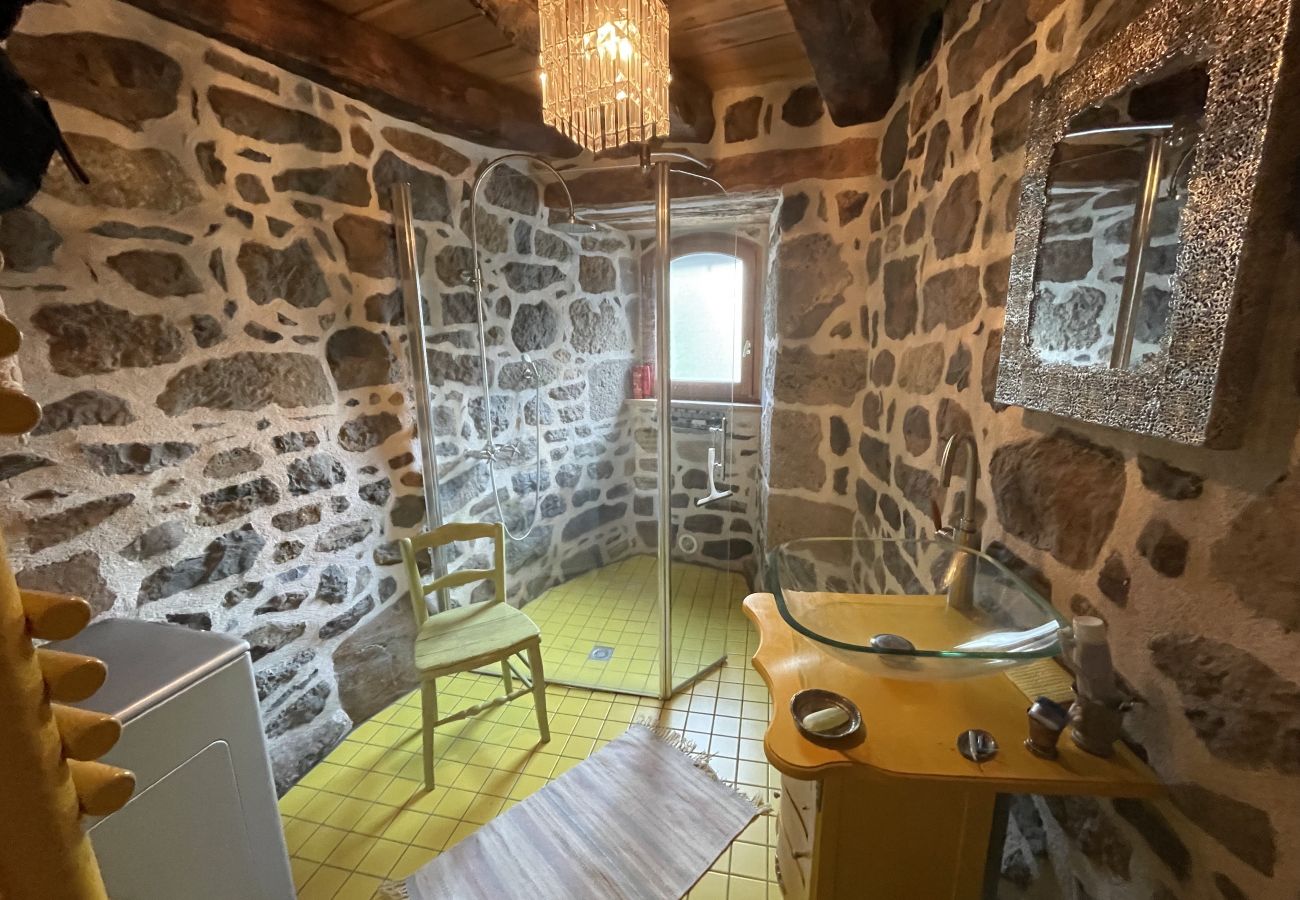 Maison à Cheylade - Maison atypique dans Cheylade
