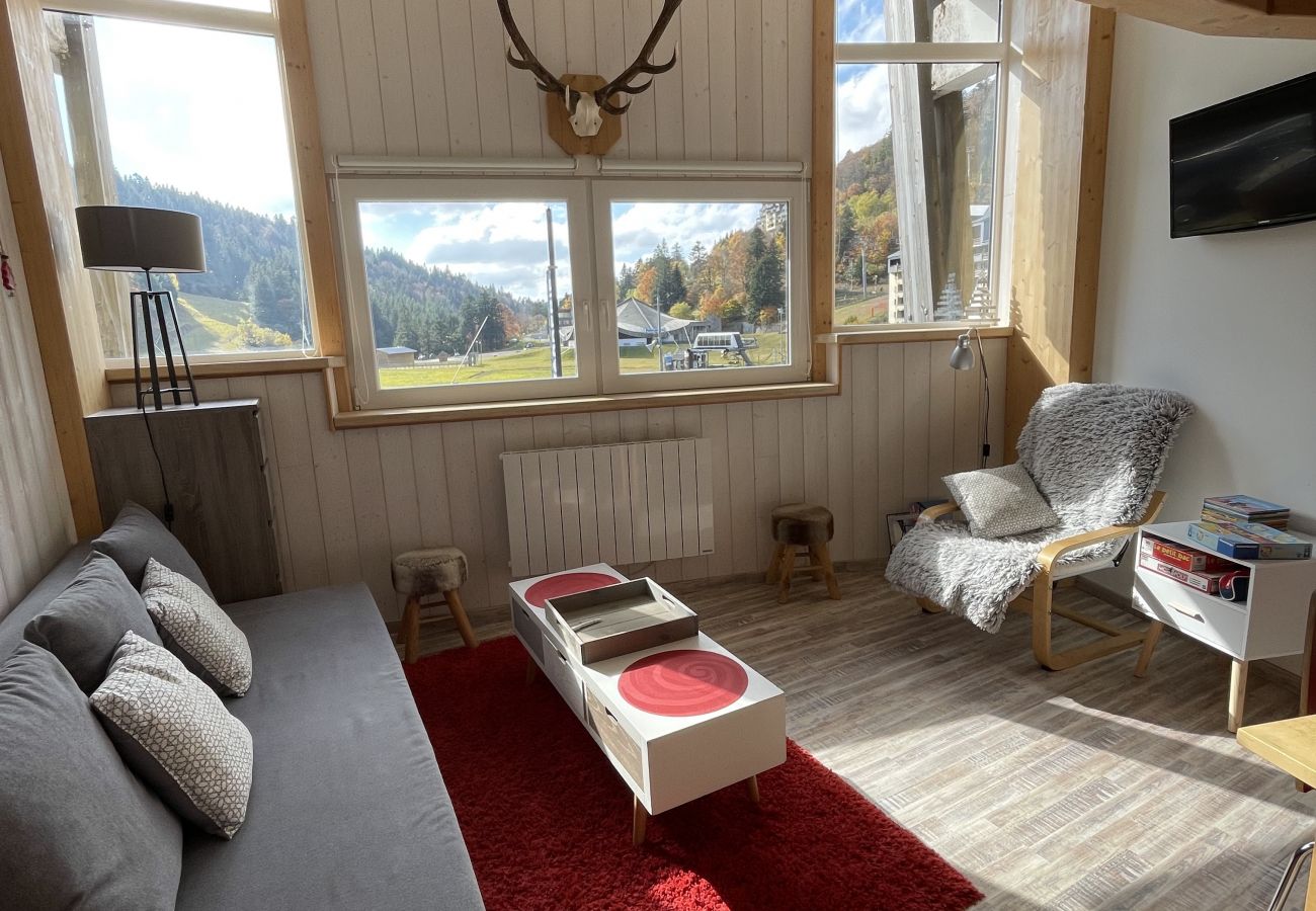 Studio à Le Lioran - Studio au coeur de la station du Lioran