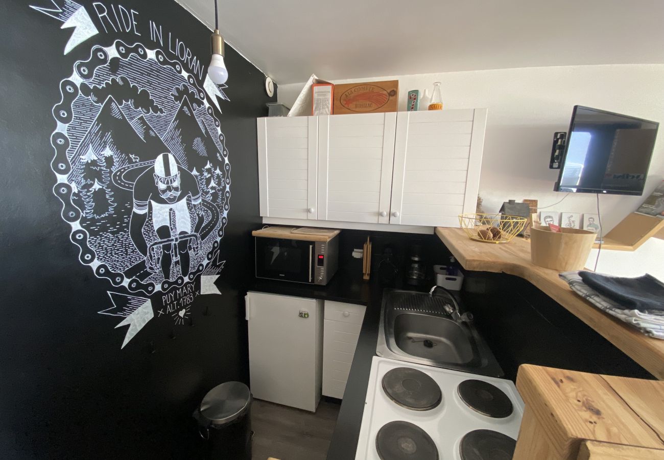 Studio à Le Lioran - Superbe studio en coeur de station