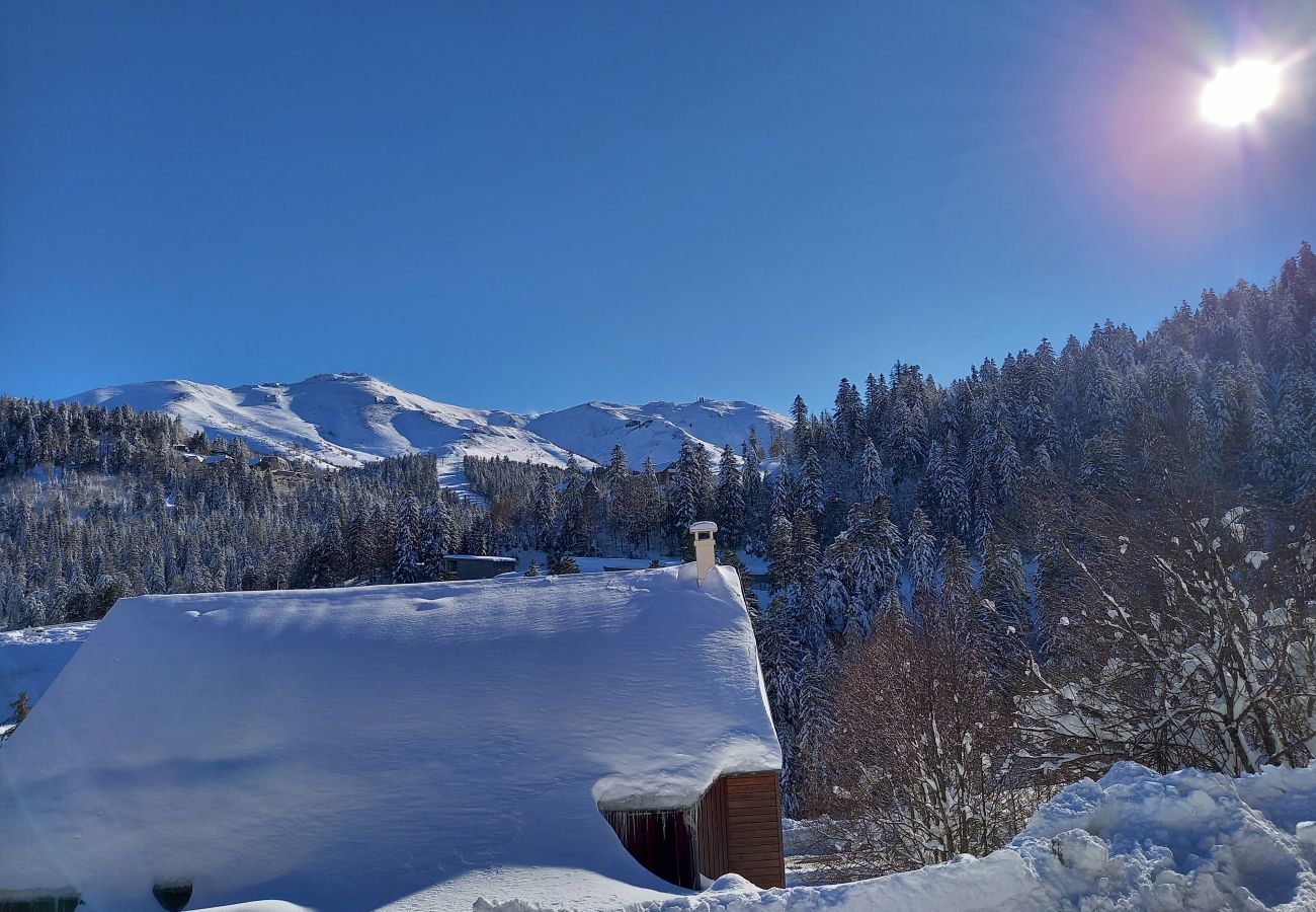 Chalet à Le Lioran - Chalet du Mouflon - Bec de l'Aigle