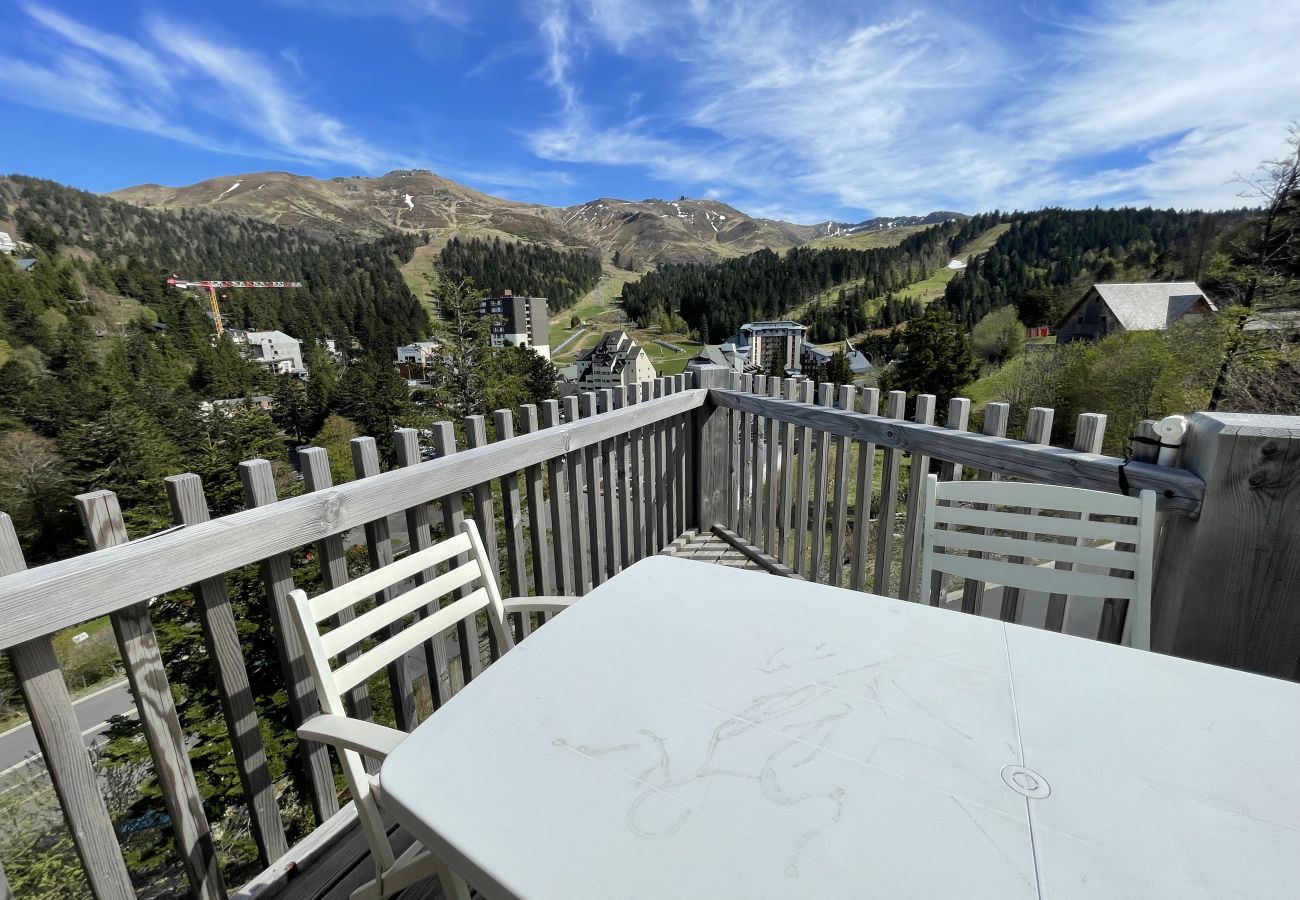 Chalet à Le Lioran - Chalet T3 HERMINES RDC