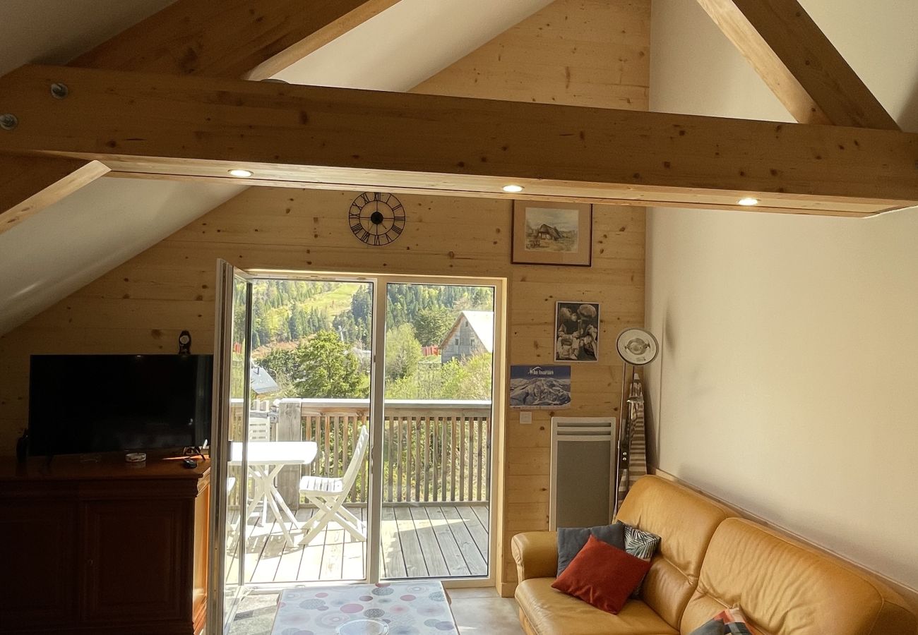 Chalet à Le Lioran - Chalet T3 HERMINES RDC