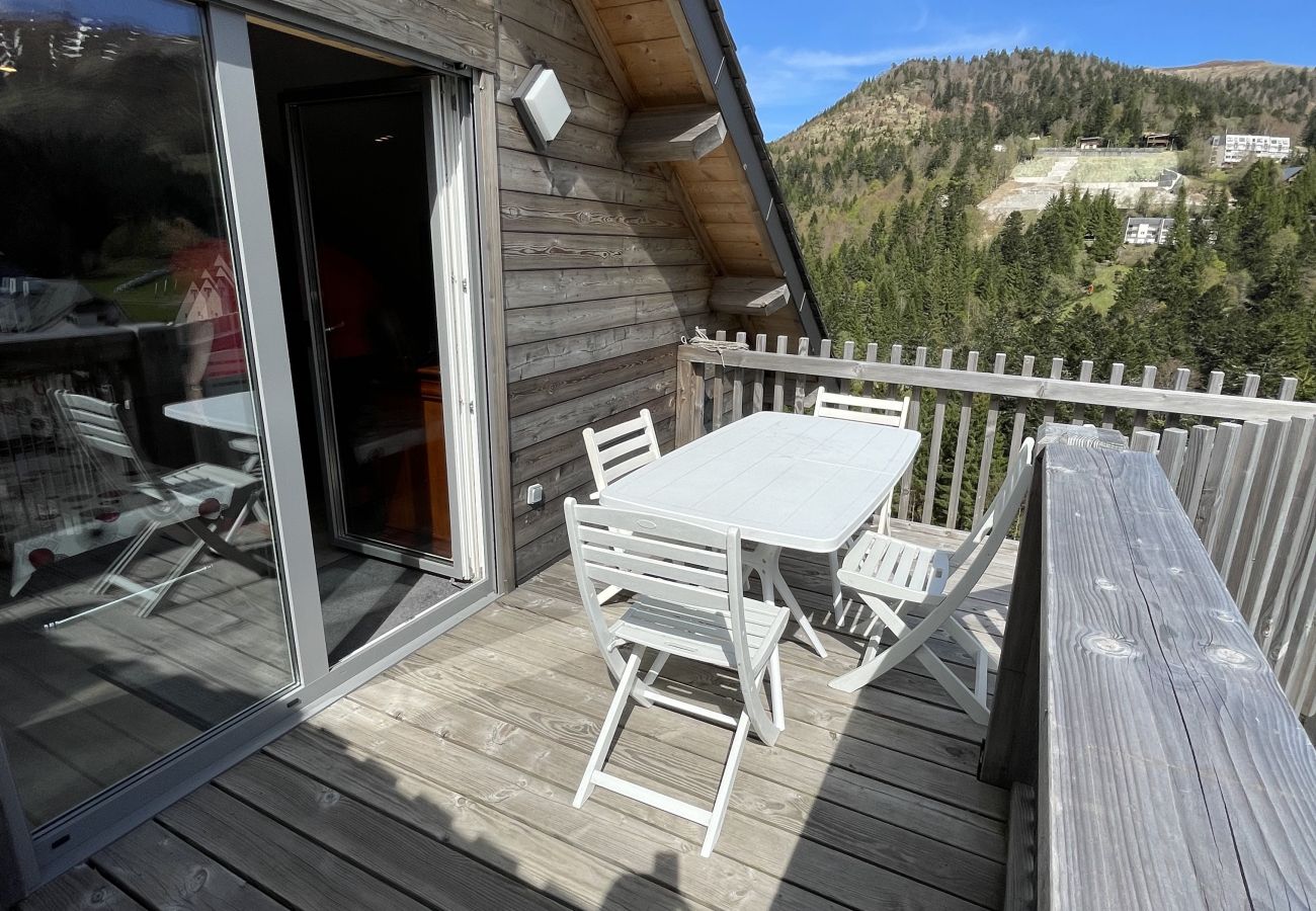 Chalet à Le Lioran - Chalet T3 HERMINES RDC