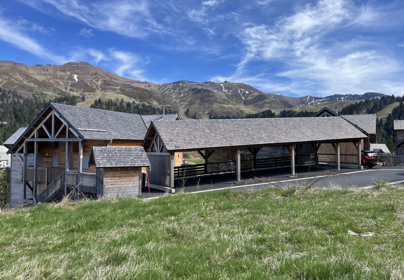 Chalet à Le Lioran - Chalet T3 HERMINES RDC