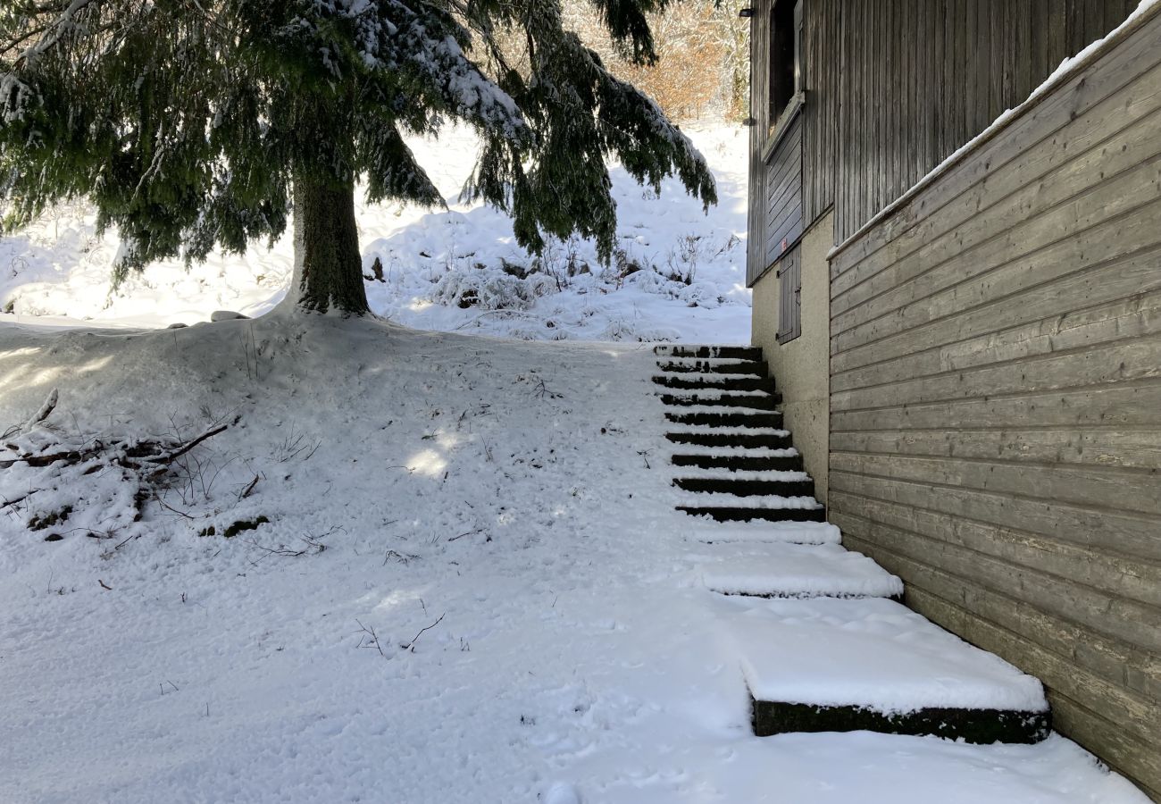 Appartement à Le Lioran - Chalet Vassivière  Font d'Alagnon