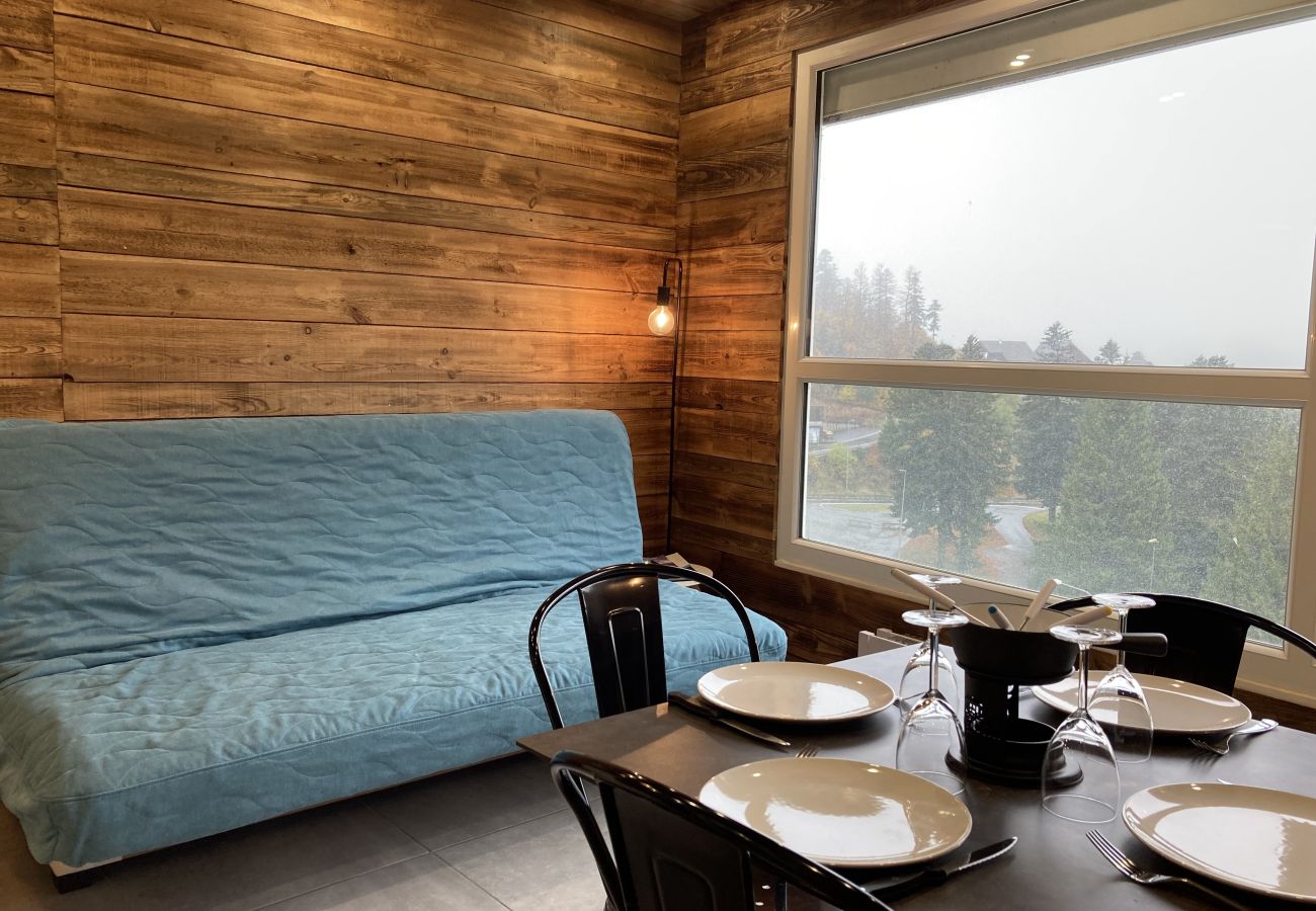 Studio à Le Lioran - Studio cosy dans la tour Sumene