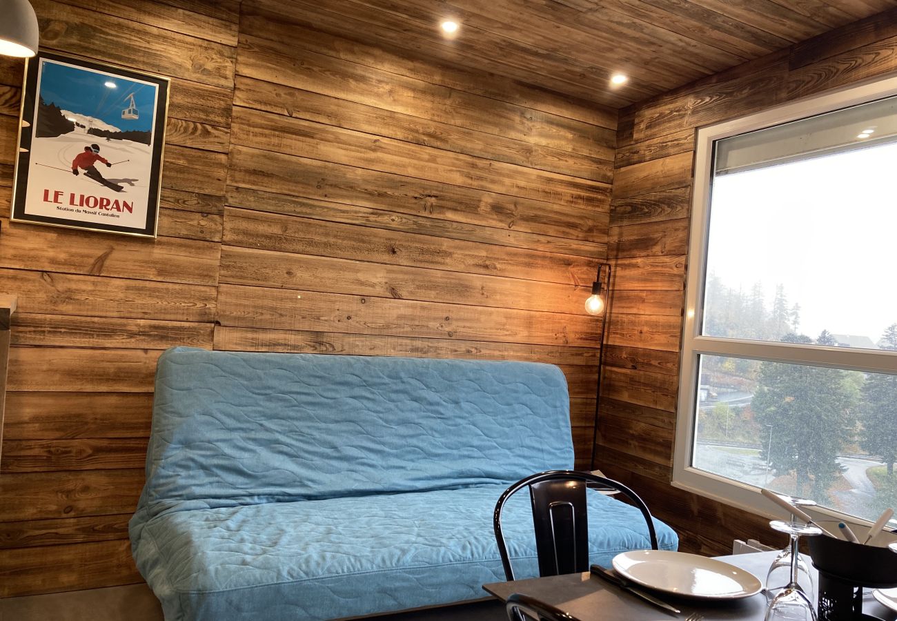 Studio à Le Lioran - Studio cosy dans la tour Sumene