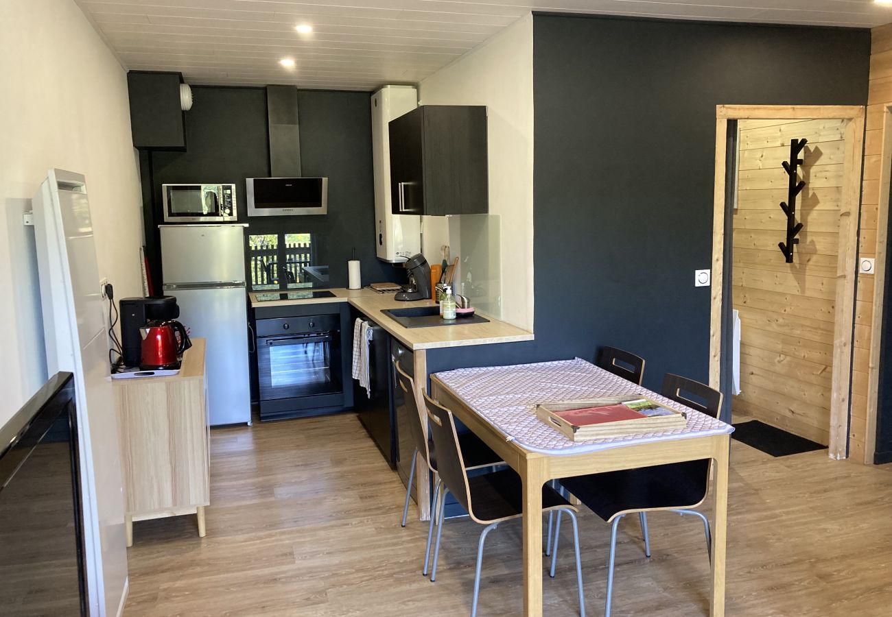 Appartement à Le Lioran - T2 montagne au rocher du cerf Appartement à Le Lioran - T2 montagne au rocher du cerf