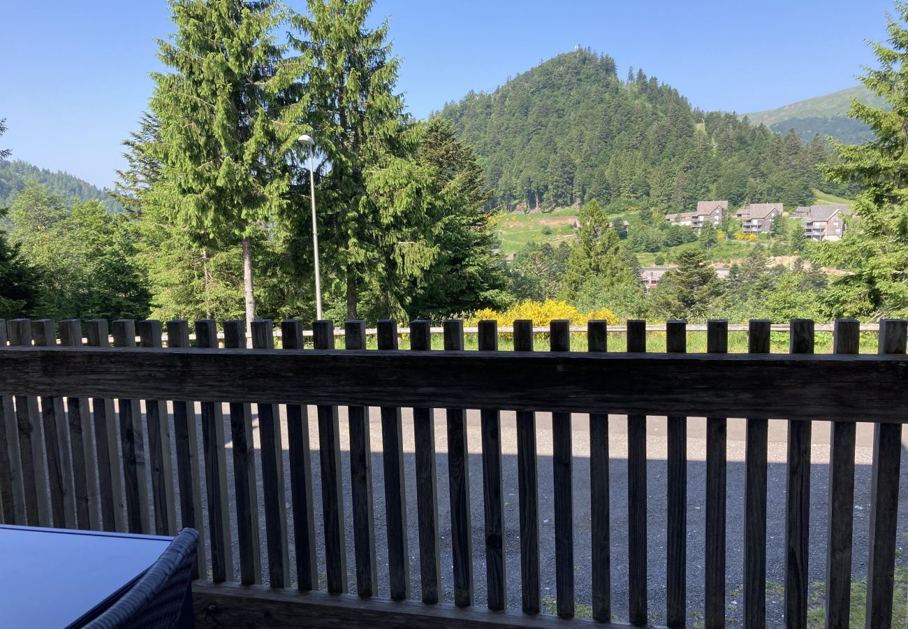 Appartement à Le Lioran - T2 montagne au rocher du cerf Appartement à Le Lioran - T2 montagne au rocher du cerf