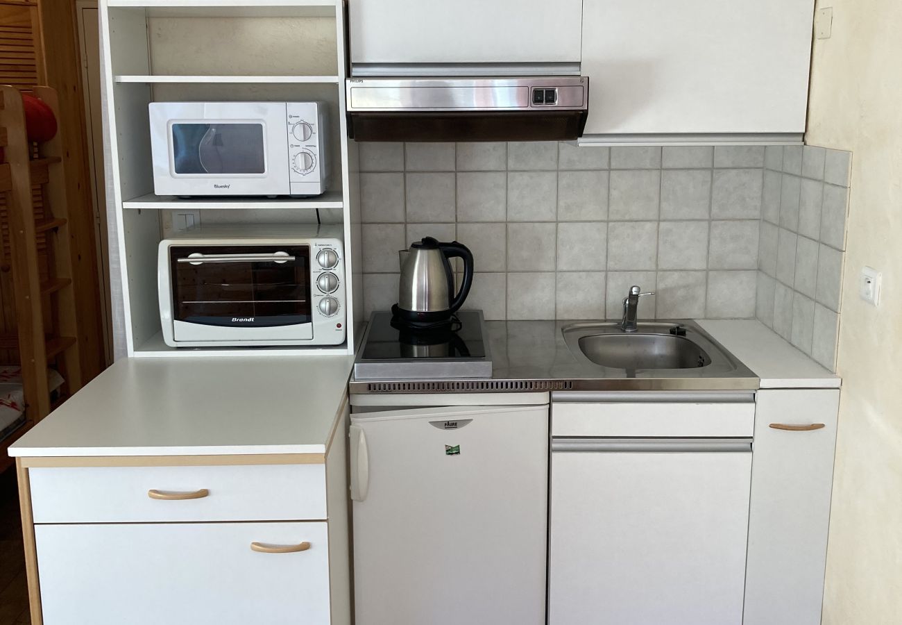 Studio à Le Lioran - Studio coquet aux Sagnes Studio à Le Lioran - Studio coquet aux Sagnes