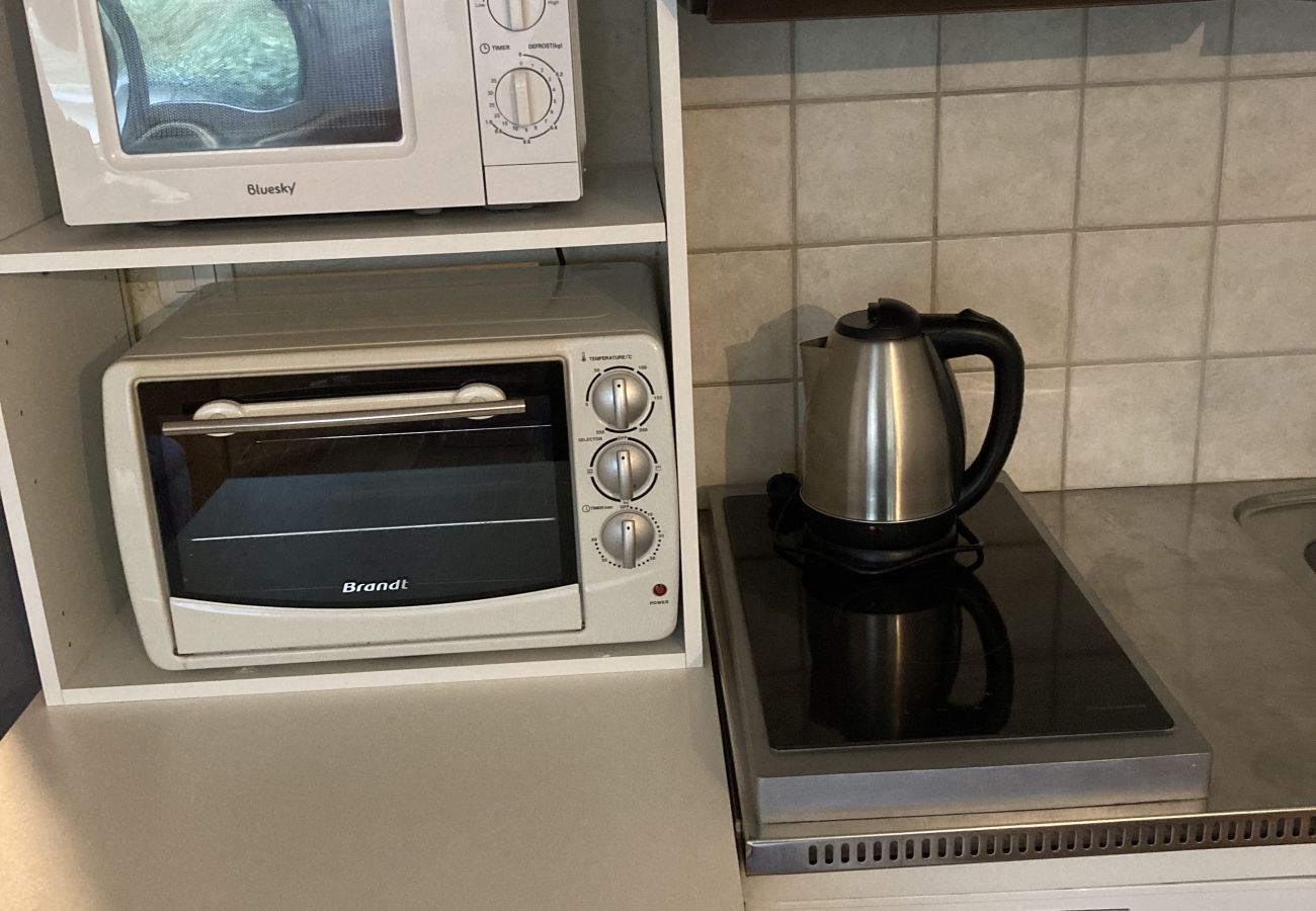 Studio à Le Lioran - Studio coquet aux Sagnes Studio à Le Lioran - Studio coquet aux Sagnes