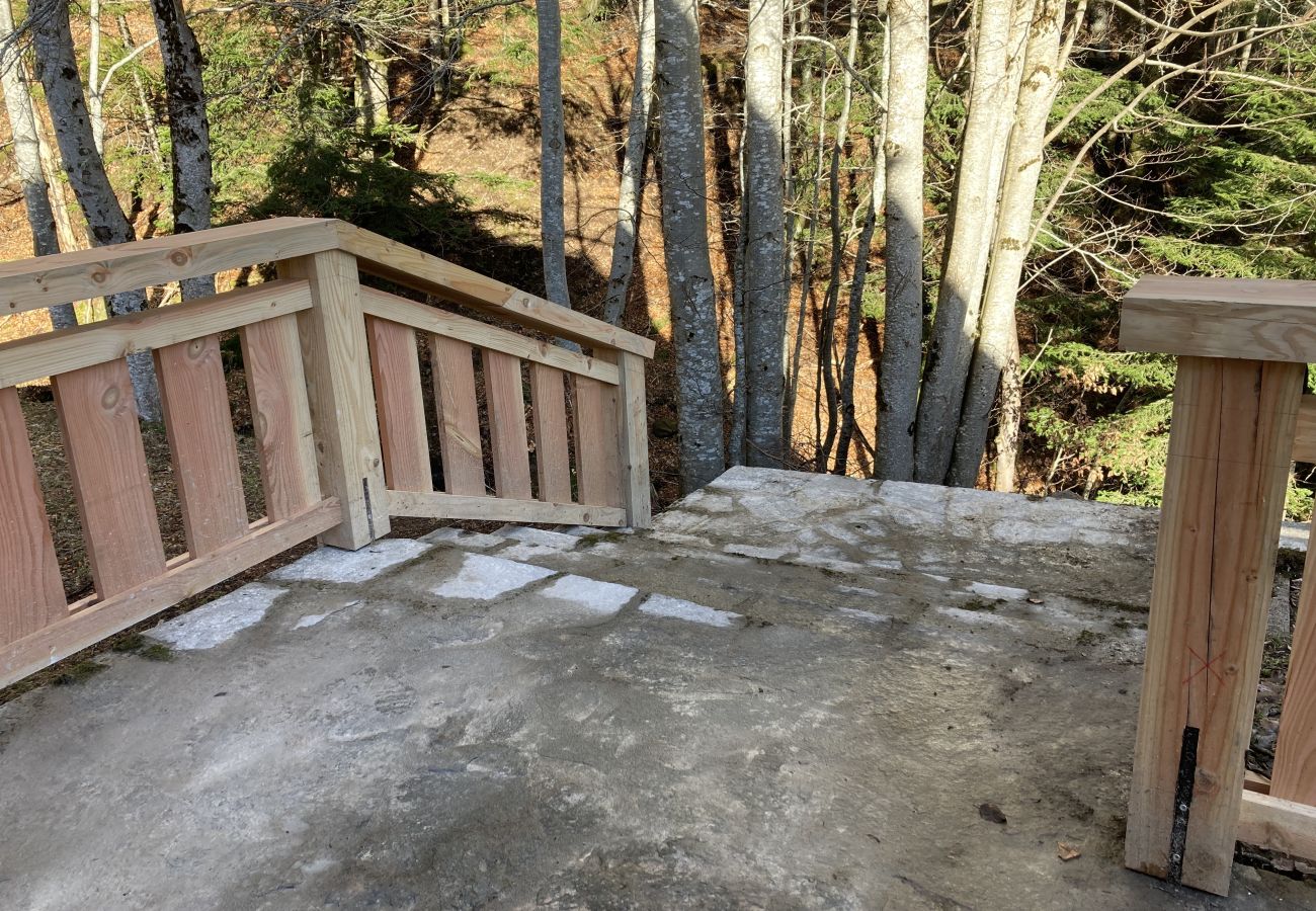 Maison à Laveissière - Maison Auvergnate Le repère des Milans