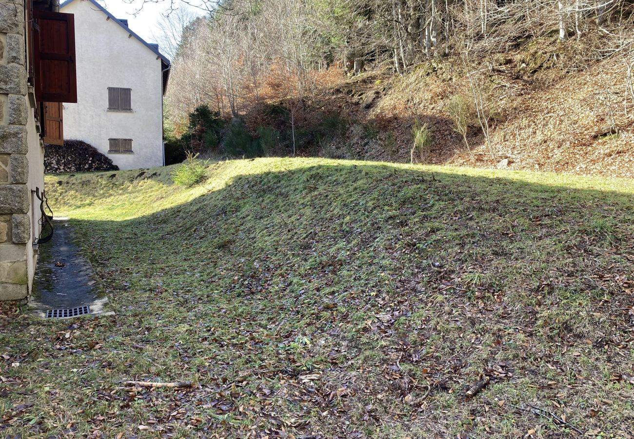Maison à Laveissière - Maison Auvergnate Le repère des Milans