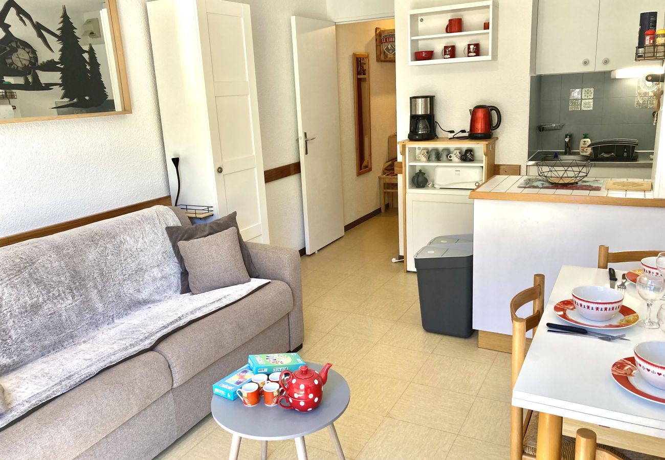 Studio à Le Lioran - Studio avec coin montagne à Portes du Sud