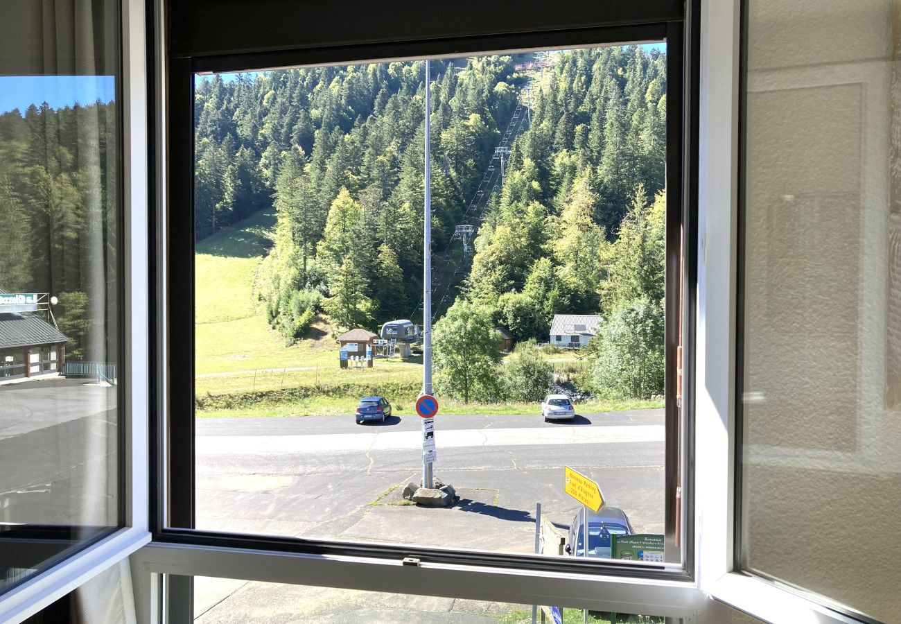 Studio à Le Lioran - Studio avec coin montagne à Portes du Sud
