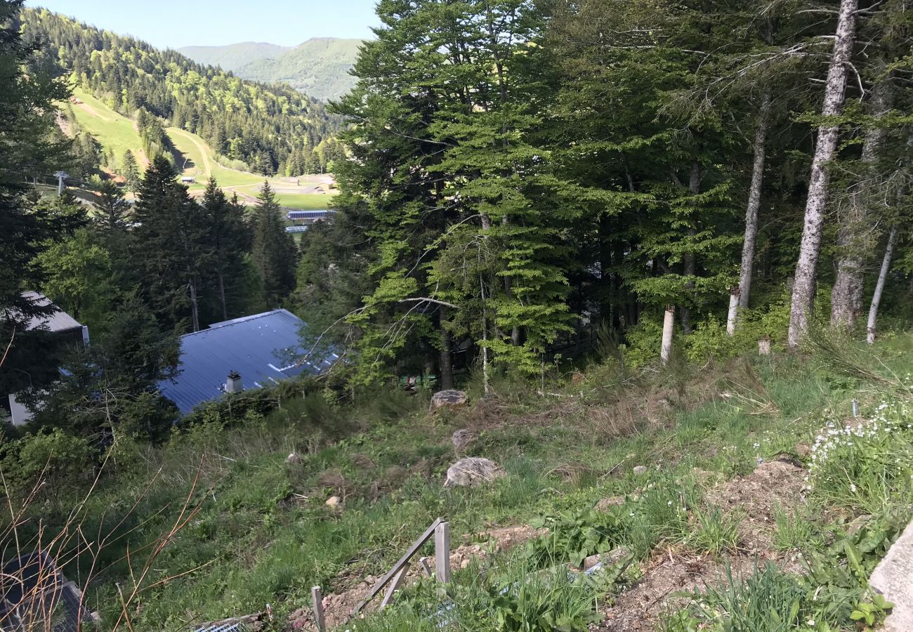 Parcelle à Laveissière - Le Lioran, unique! Terrain Rocher du Cerf à 100 m