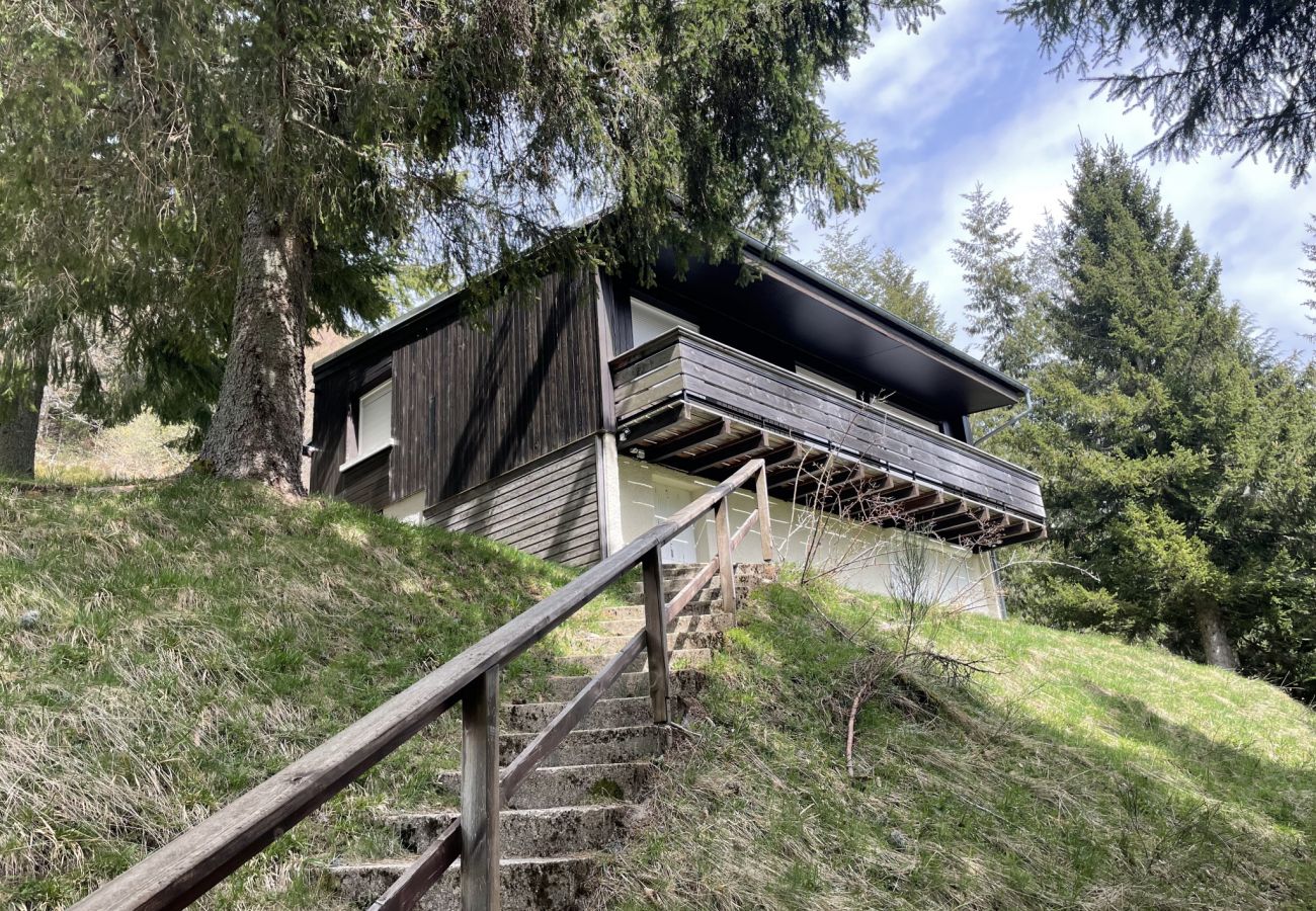 Chalet à Le Lioran - Chalet Individuel à Font d`Alagnon