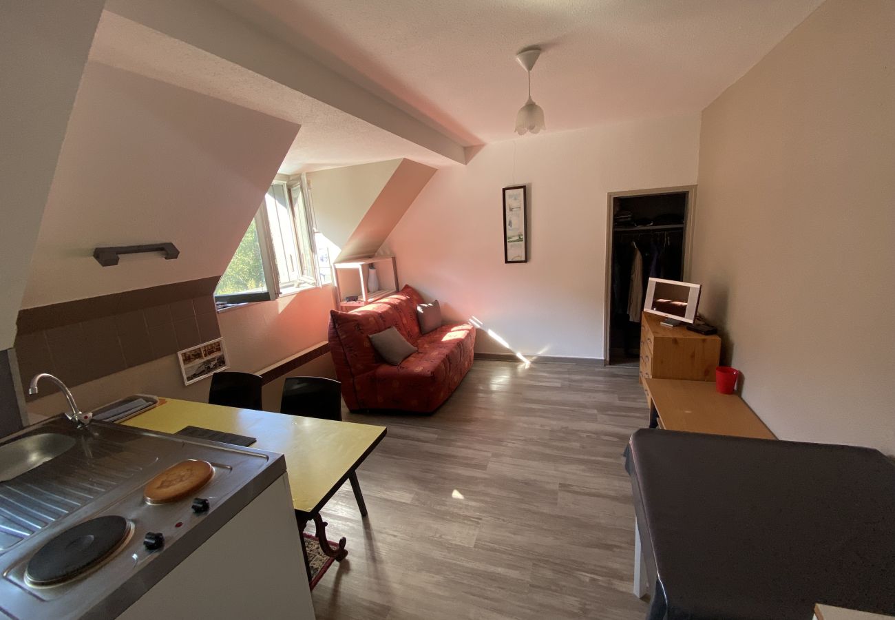 Studio à Le Lioran - Appartement T2- Résidence Alagnon Gare