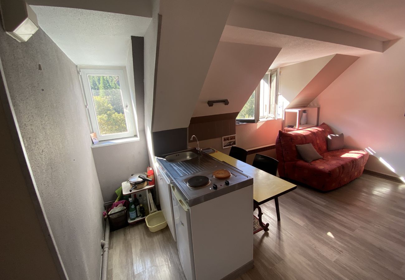Studio à Le Lioran - Appartement T2- Résidence Alagnon Gare