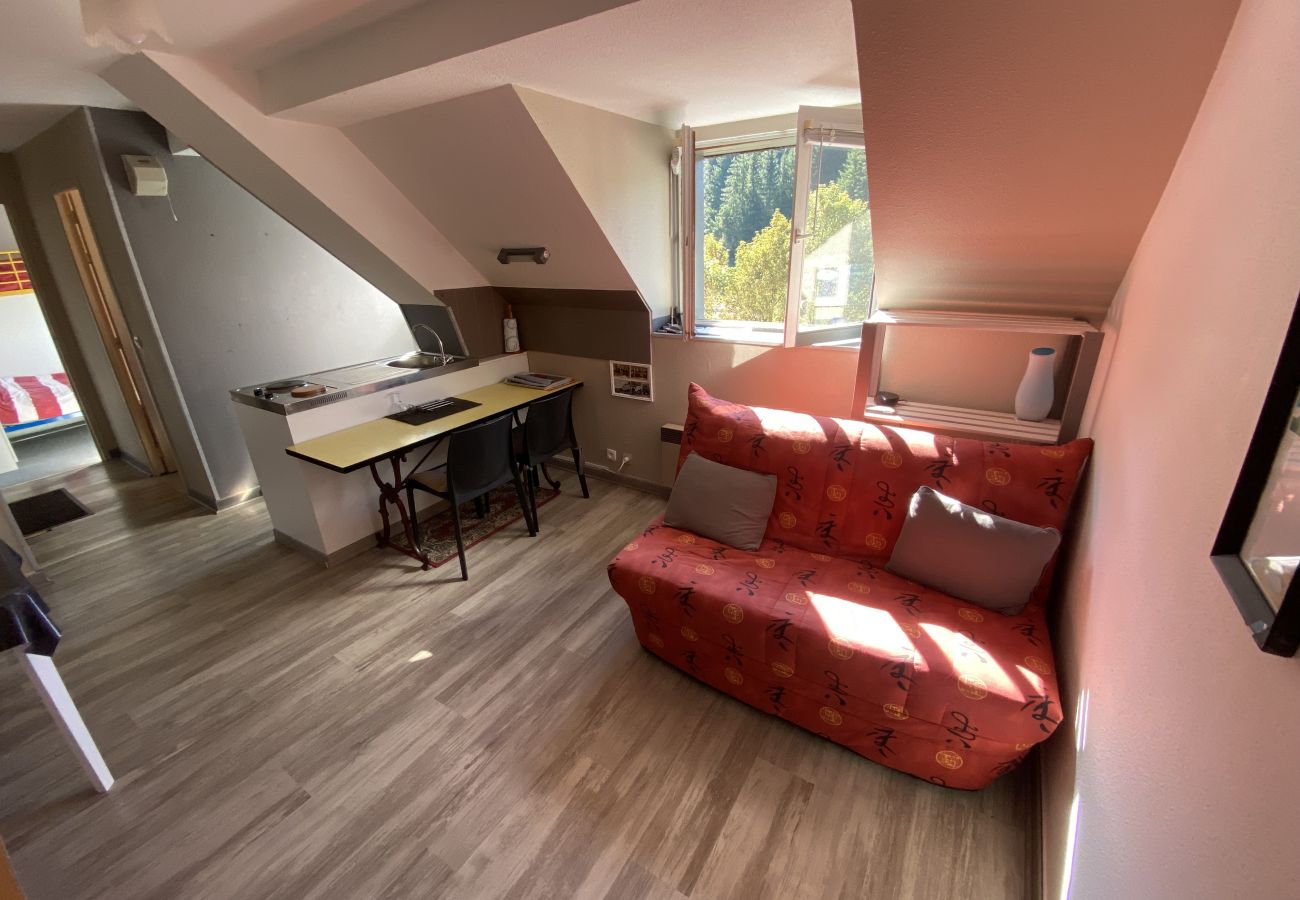 Studio à Le Lioran - Appartement T2- Résidence Alagnon Gare