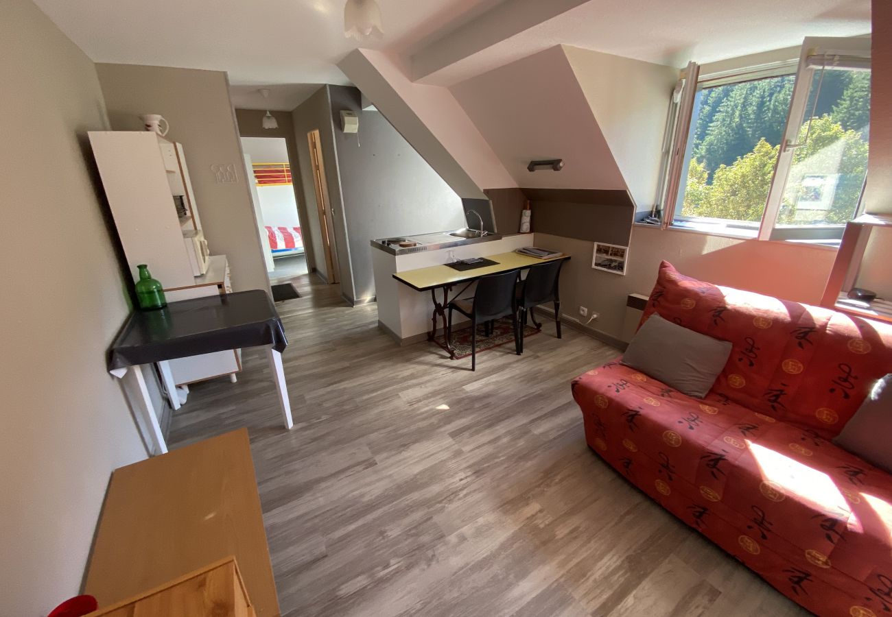 Studio à Le Lioran - Appartement T2- Résidence Alagnon Gare