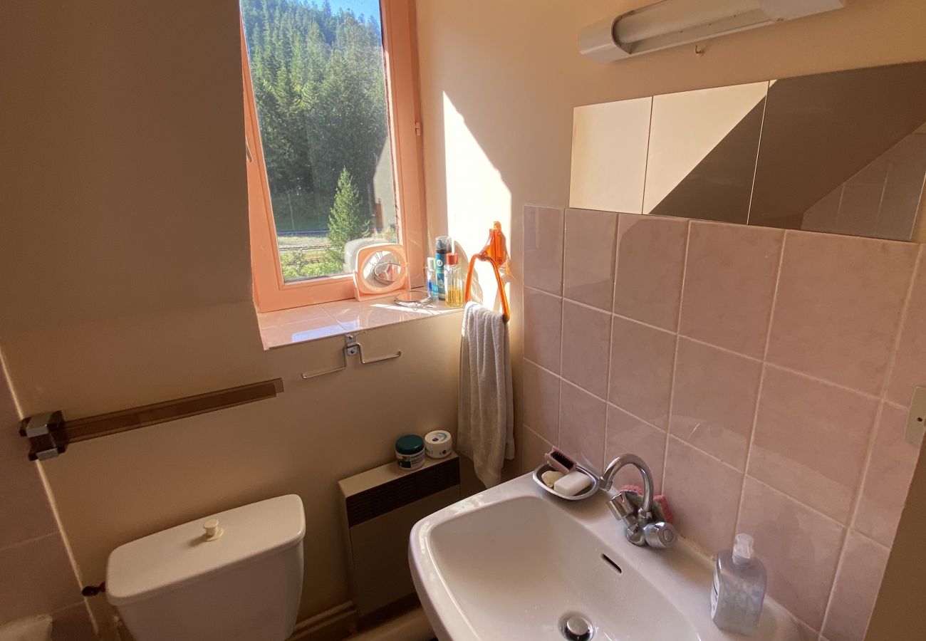 Studio à Le Lioran - Appartement T2- Résidence Alagnon Gare