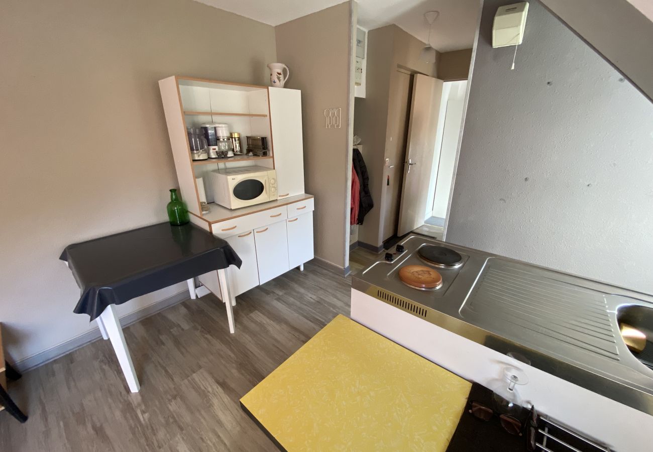 Studio à Le Lioran - Appartement T2- Résidence Alagnon Gare