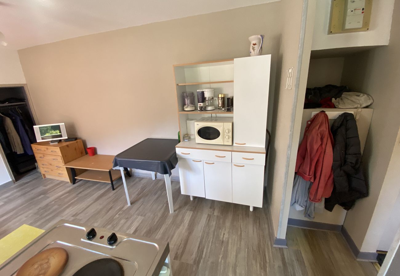 Studio à Le Lioran - Appartement T2- Résidence Alagnon Gare