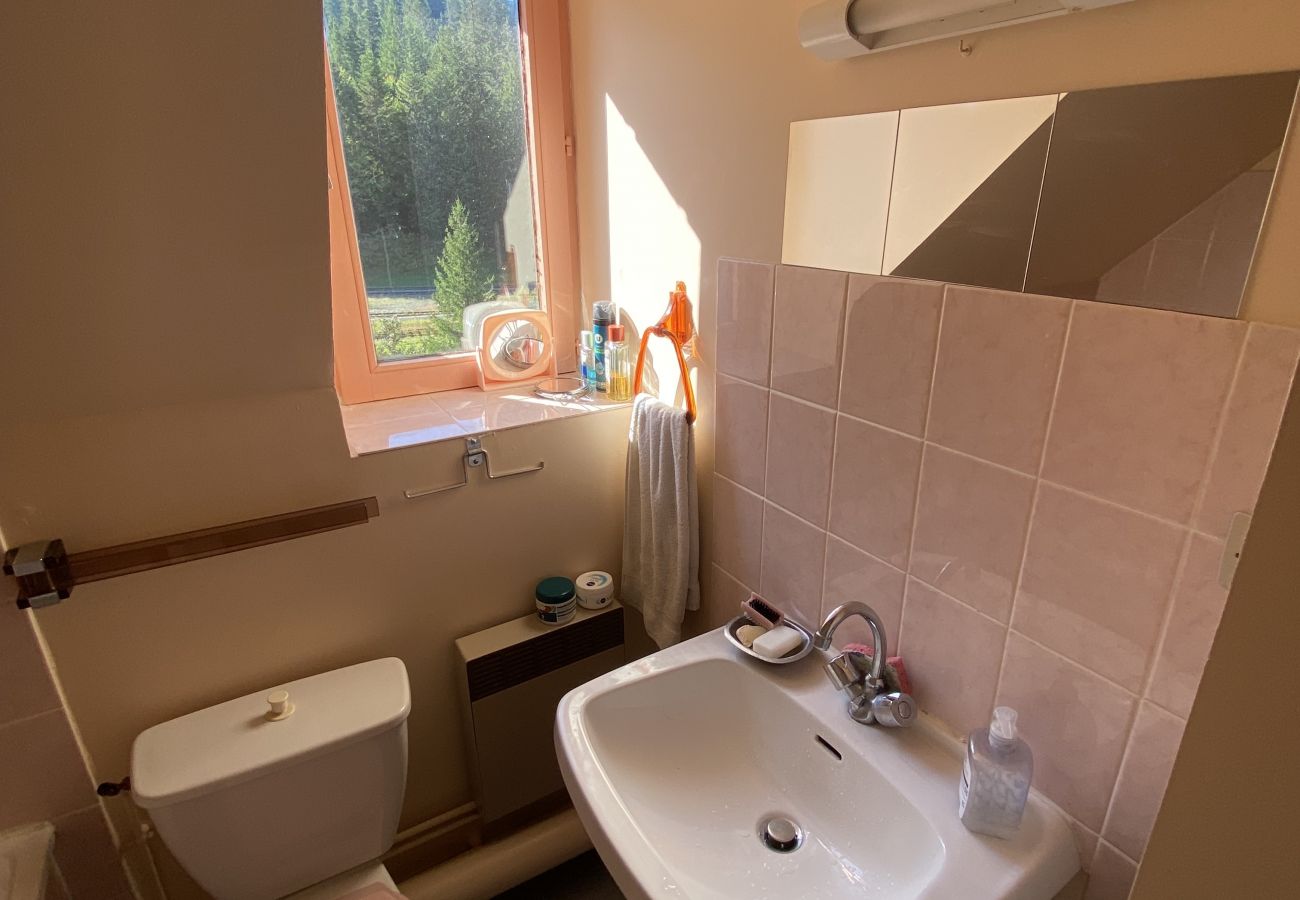 Studio à Le Lioran - Appartement T2- Résidence Alagnon Gare
