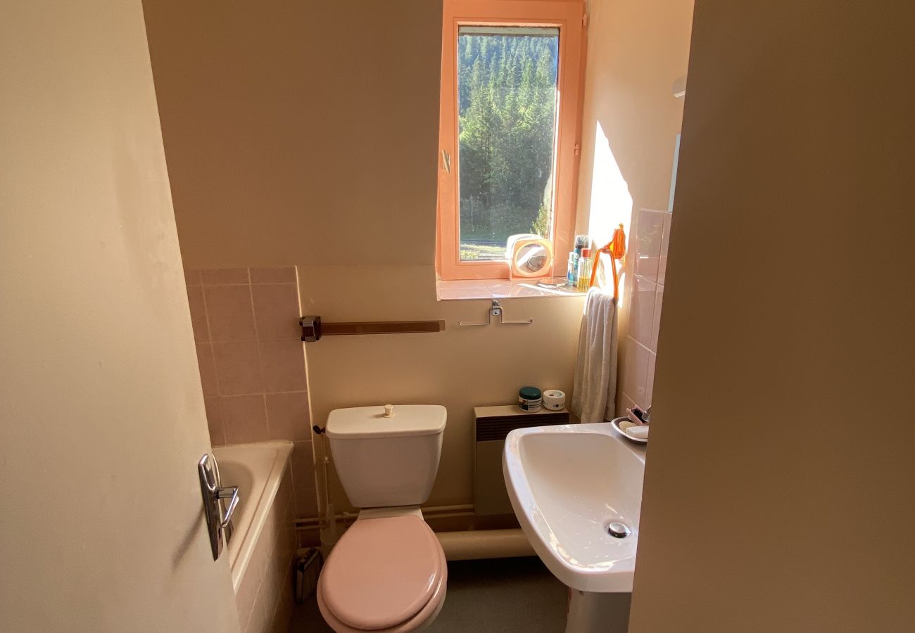 Studio à Le Lioran - Appartement T2- Résidence Alagnon Gare