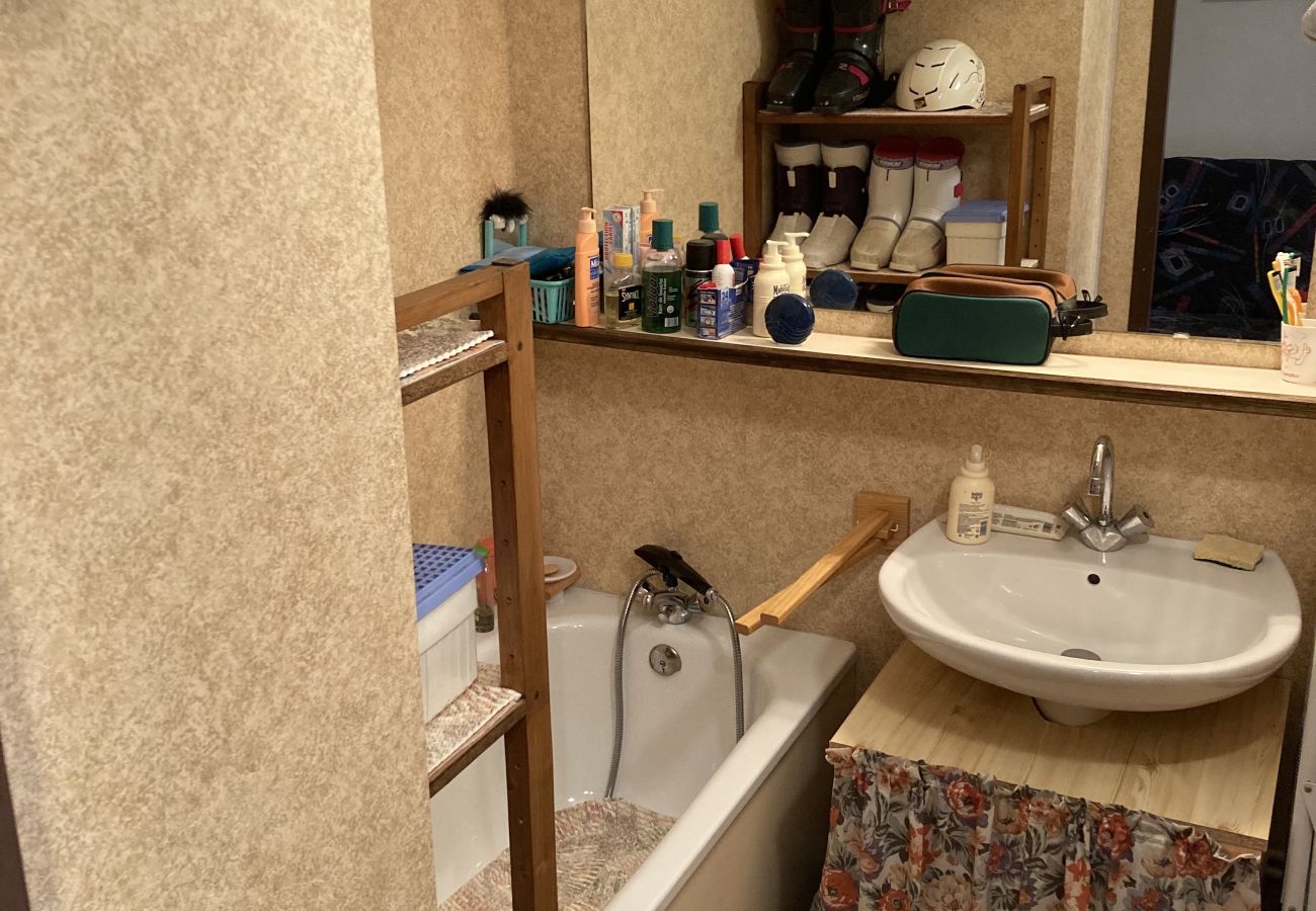 Appartement à Laveissière - T2 avec balcon aux cristallines