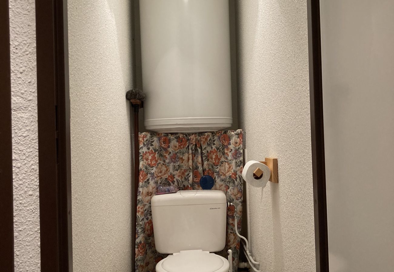 Appartement à Laveissière - T2 avec balcon aux cristallines