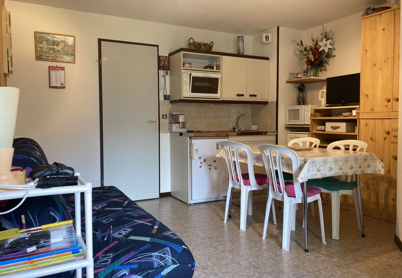 Appartement à Laveissière - T2 avec balcon aux cristallines