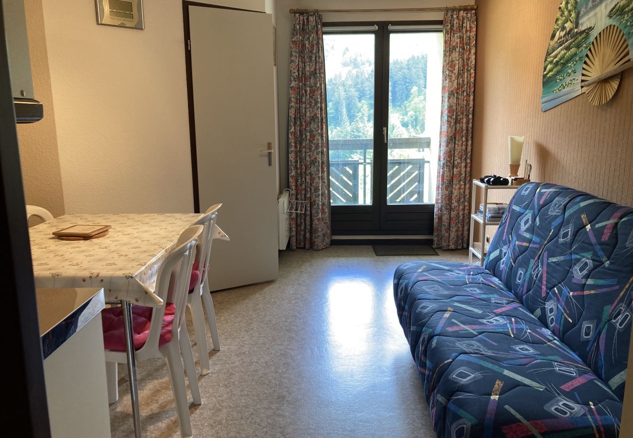 Appartement à Laveissière - T2 avec balcon aux cristallines